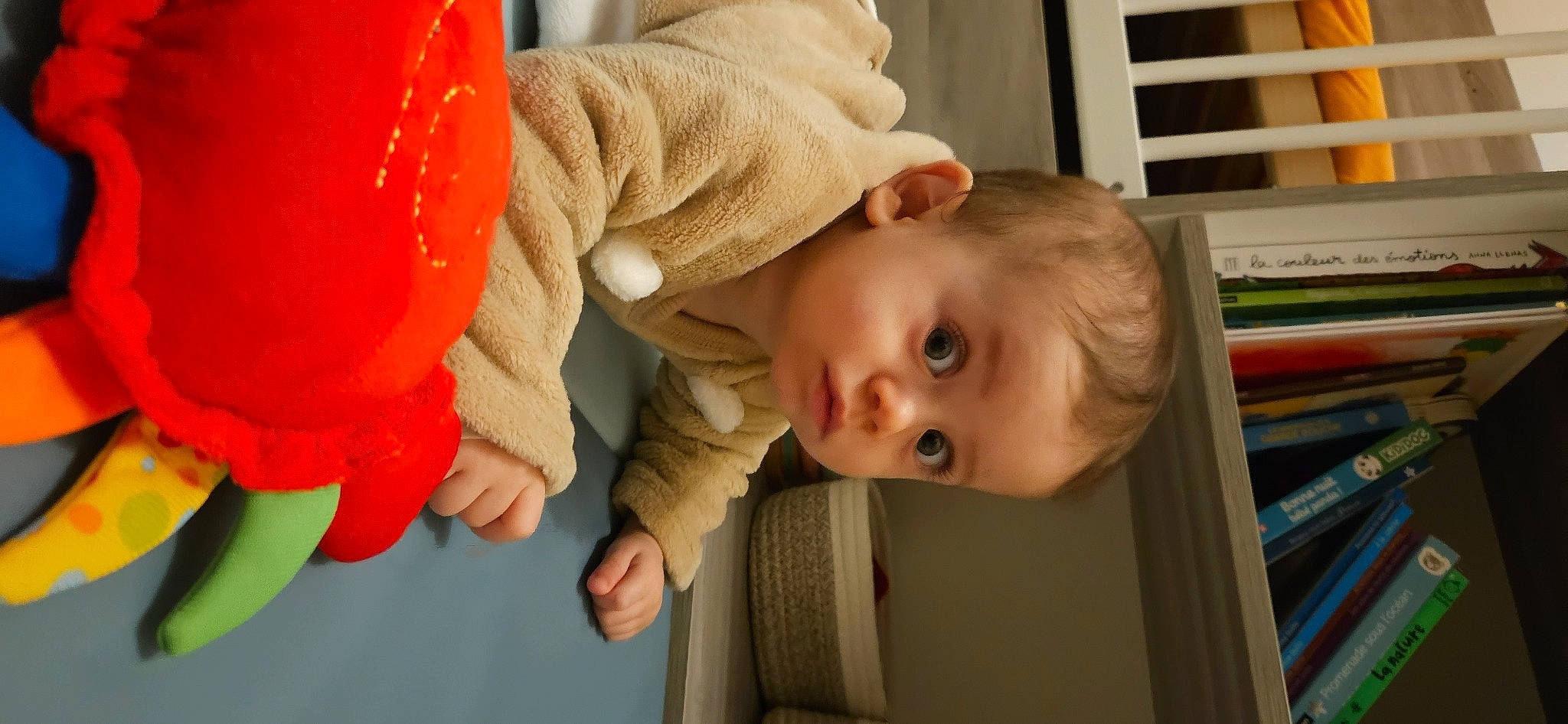 Sasha participe au concours pour gagner de l'argent avec cette photo : baby, baby_toddler_clothing, blond, bookcase, cheek, child, eye, facial_expression, fun, gesture, happy, iris, mammal, nose, outerwear, person, product, shelf, skin, toddler