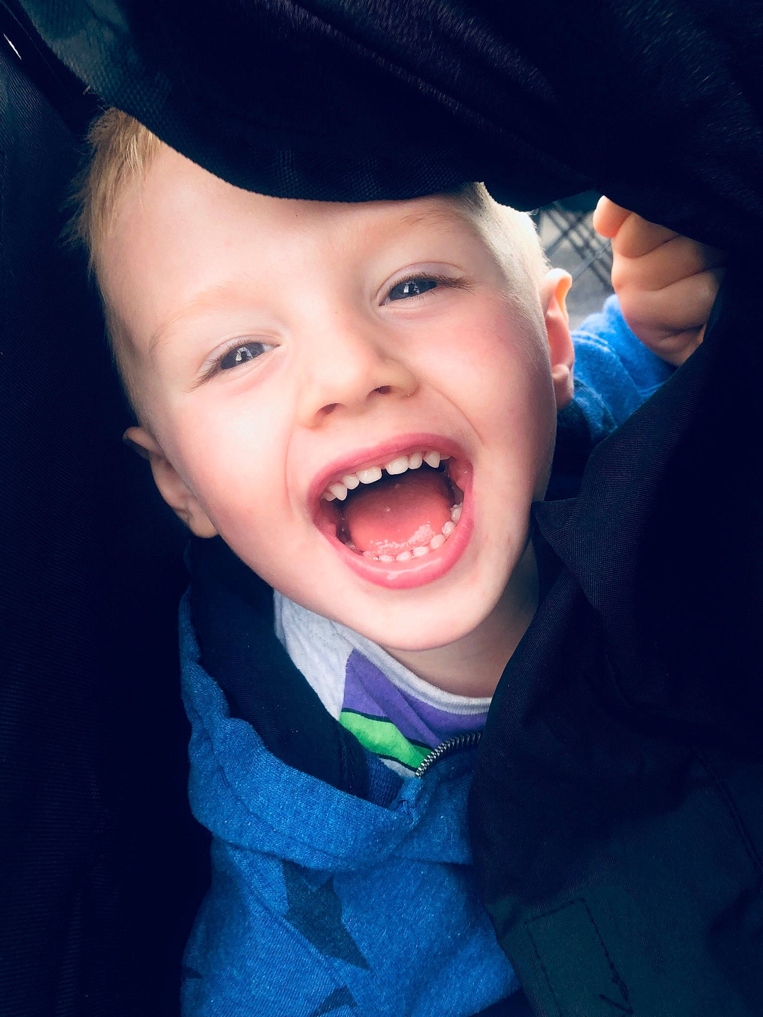Teddie joined the competition — help win amazing prizes! blue, cheek, child, chin, cool, eye, face, facial_expression, fun, happy, head, laugh, lip, mouth, nose, organ, person, skin, smile, toddler