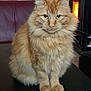 animal, calm, cat, couch, cozy, domestic, ears, eyes, face, feline, fireplace, fluffy, fur, home, indoor, orange_tabby, pet, sitting, table, whiskers