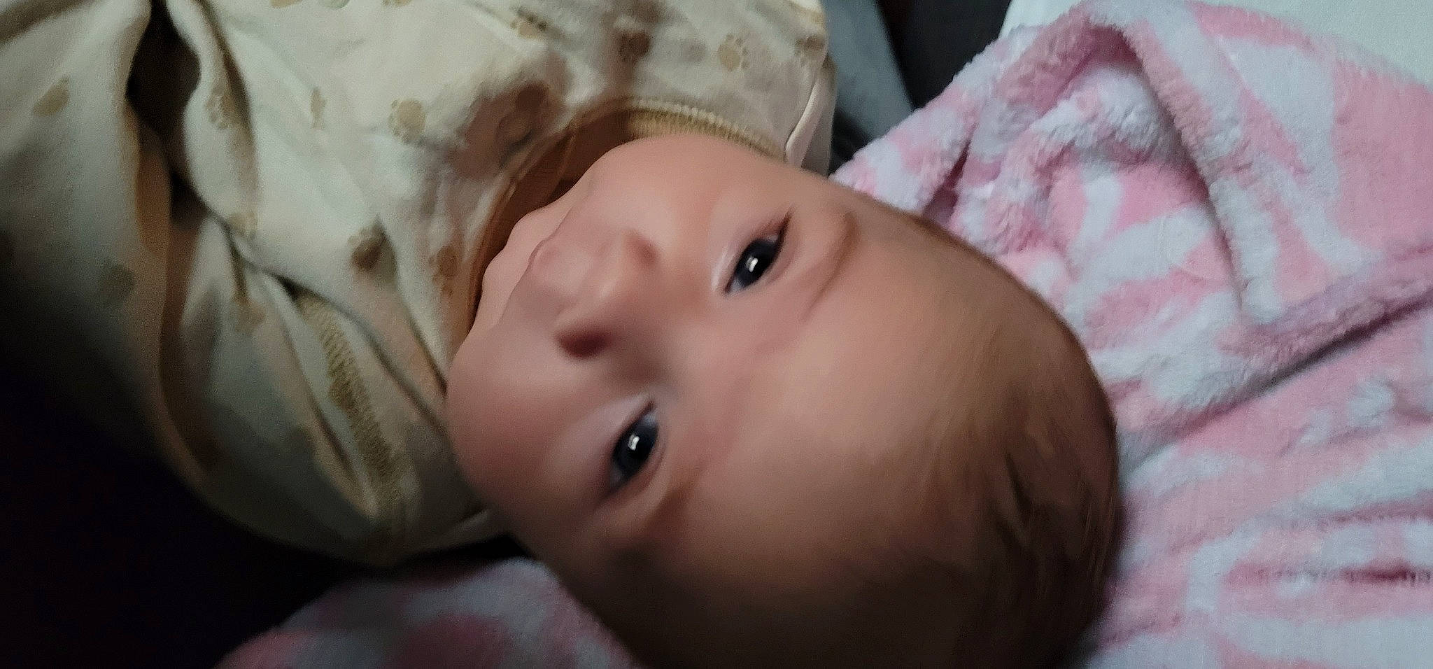 Xander joined the competition — help win amazing prizes! baby, cheek, child, chin, eye, eyebrow, eyelash, forehead, grass, hair, hand, human_body, iris, lip, mouth, neck, no_expression, nose, person, skin