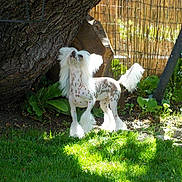 Inés participe au concours pour gagner de l'argent avec cette photo :