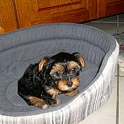 Gahna participe au concours pour gagner de l'argent avec cette photo :