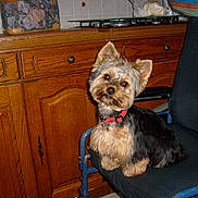 Gahna a rejoint le concours — aidez-le/la à gagner de superbes lots !