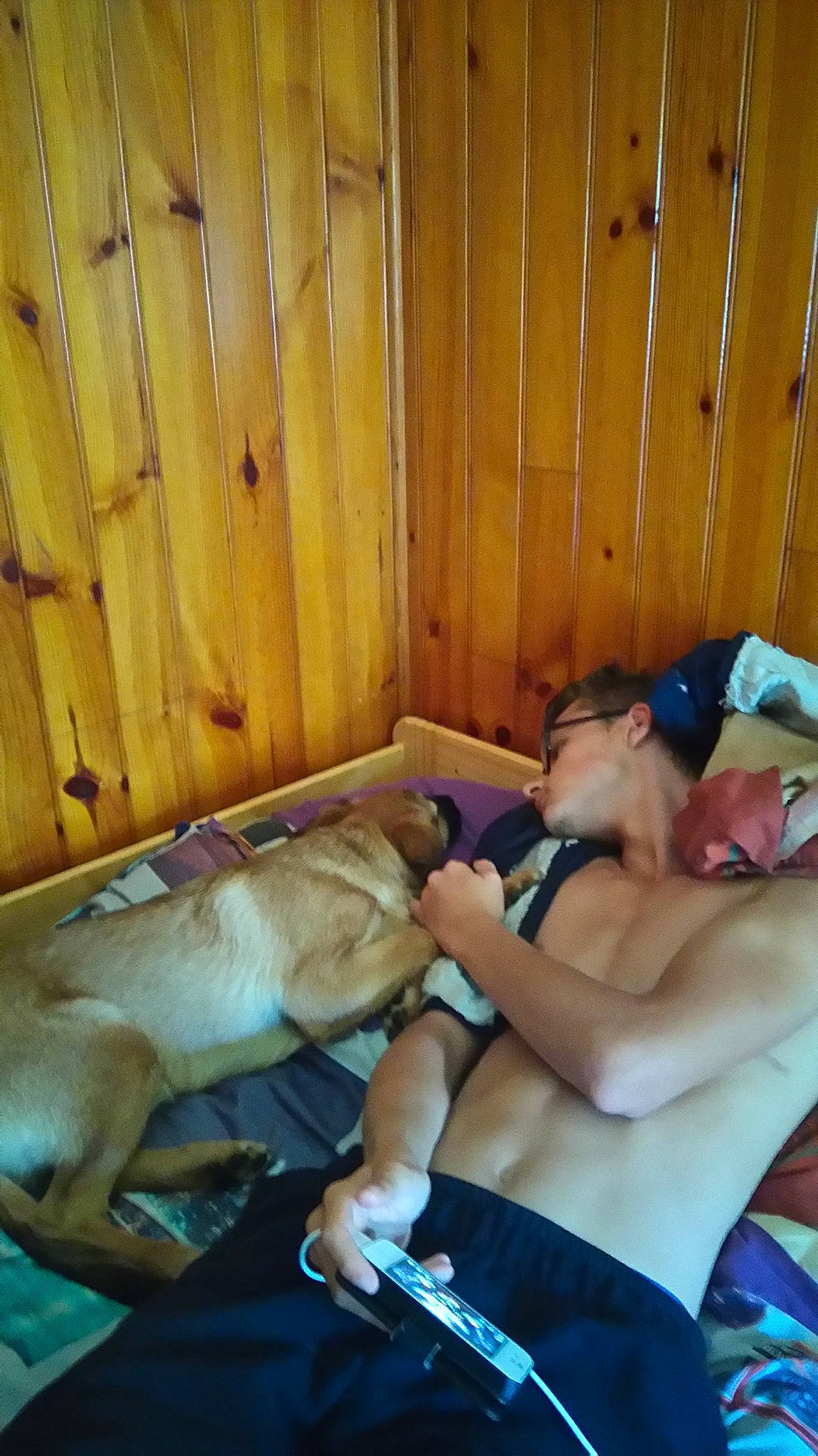 Soka a rejoint le concours — aidez-le/la à gagner de superbes lots ! animal_training, carnivore, collar, comfort, dog, dog_breed, fawn, lap, mammal, nap, pet_supply, sleep, water_bottle