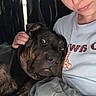 Zeus is registered to the contest to win money with this photo: dog, person, selfie, portrait, brindle, pet, cuddling, blanket, bed, indoors, face, eyes, piercing, lip_piercing, short_hair, red_hair, white_shirt, curtains, cozy, companion