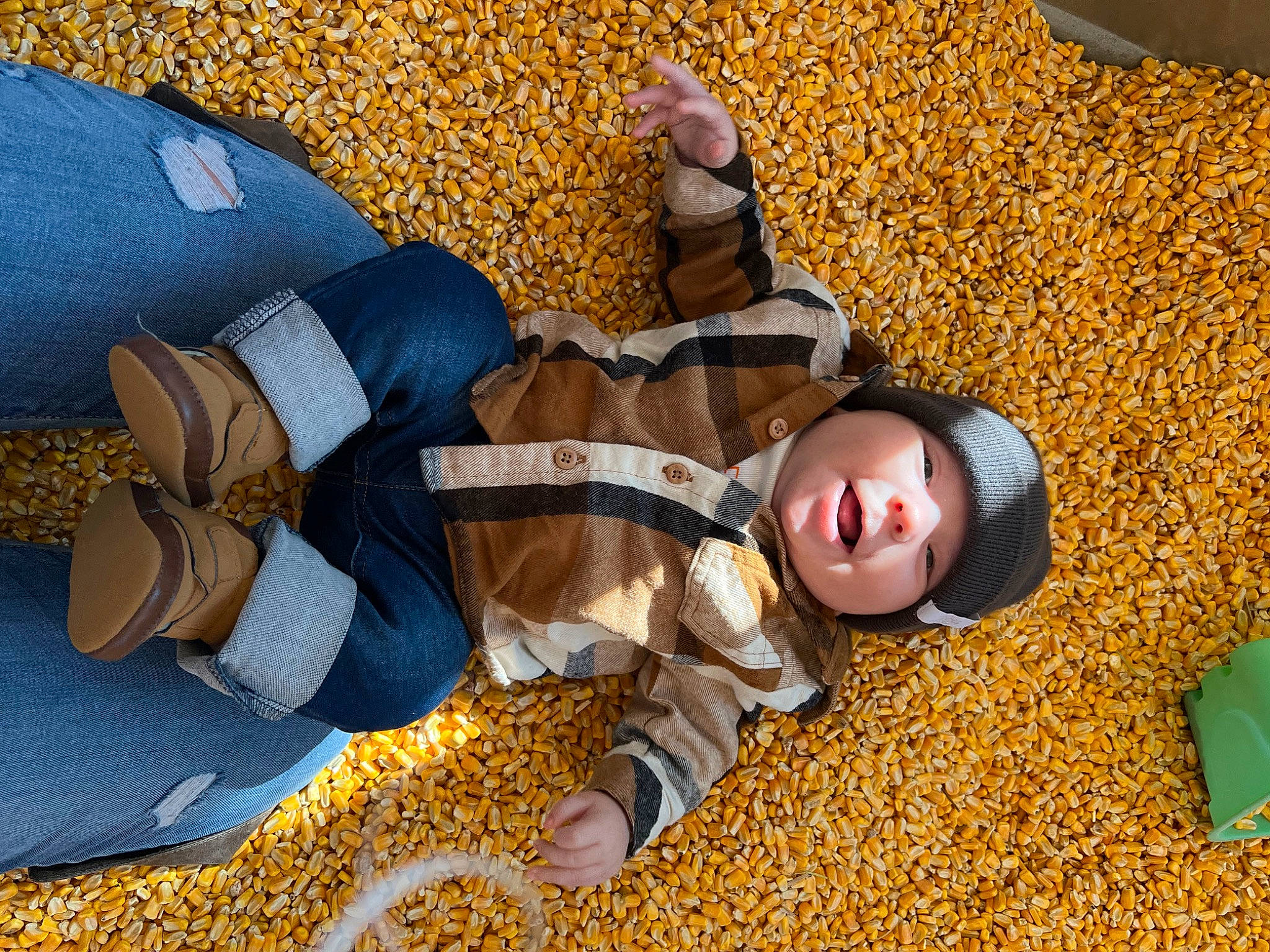 Atlas joined the competition — help win amazing prizes! autumn, baby, baby_toddler_clothing, child, comfort, deciduous, flooring, fun, grass, headwear, linens, nap, people_in_nature, person, personal_protective_equipment, sitting, sleep, toddler, wood