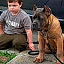 Hank The Tank joined the competition — help win amazing prizes! boy, brown_fur, car, casual_clothing, chain_collar, child, collar, dog, grass, hand, leash, mastiff, outdoor, pavement, pet, portrait, serious_expression, sitting, tshirt, vehicle