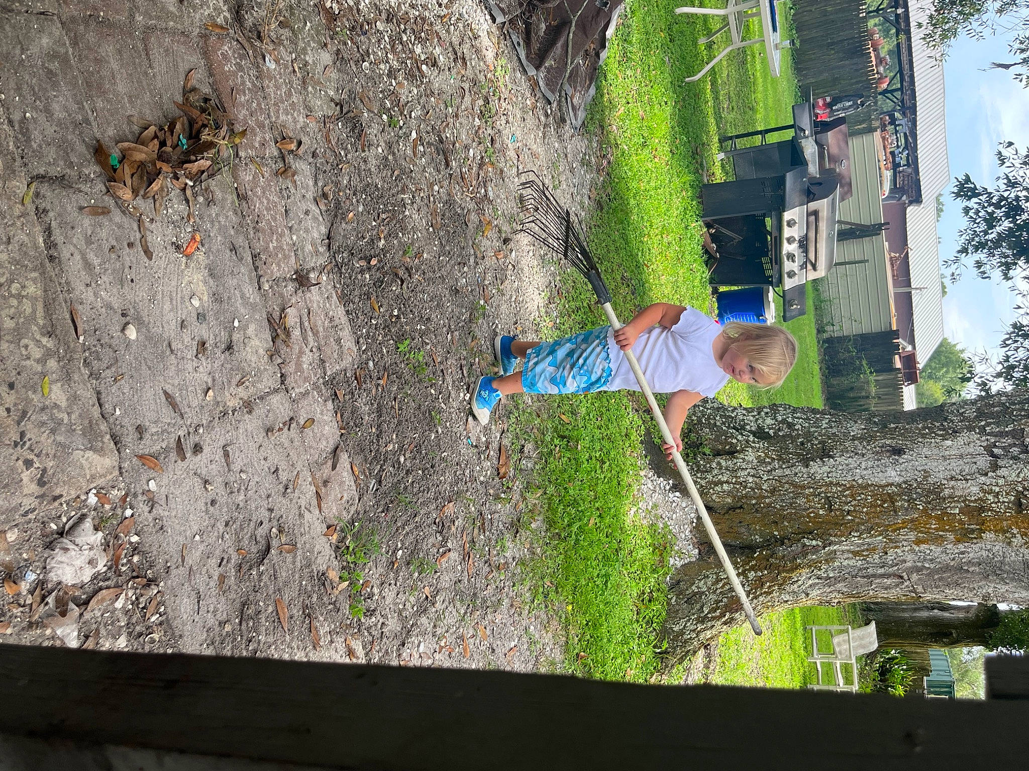 Juliana joined the competition — help win amazing prizes! adventure, bedrock, concrete, electric_blue, facade, fun, grass, landscape, leisure, person, plant, recreation, rock, rope, shadow, slope, soil, sport_climbing, tree, trunk