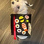 dog, white_dog, fluffy_dog, pet, sushi, felt_food, chopsticks, tray, wooden_floor, cute, looking_up, red_chopsticks, toy_food, indoor, animal, small_dog, decor, playful, black_hair_tie, closeup