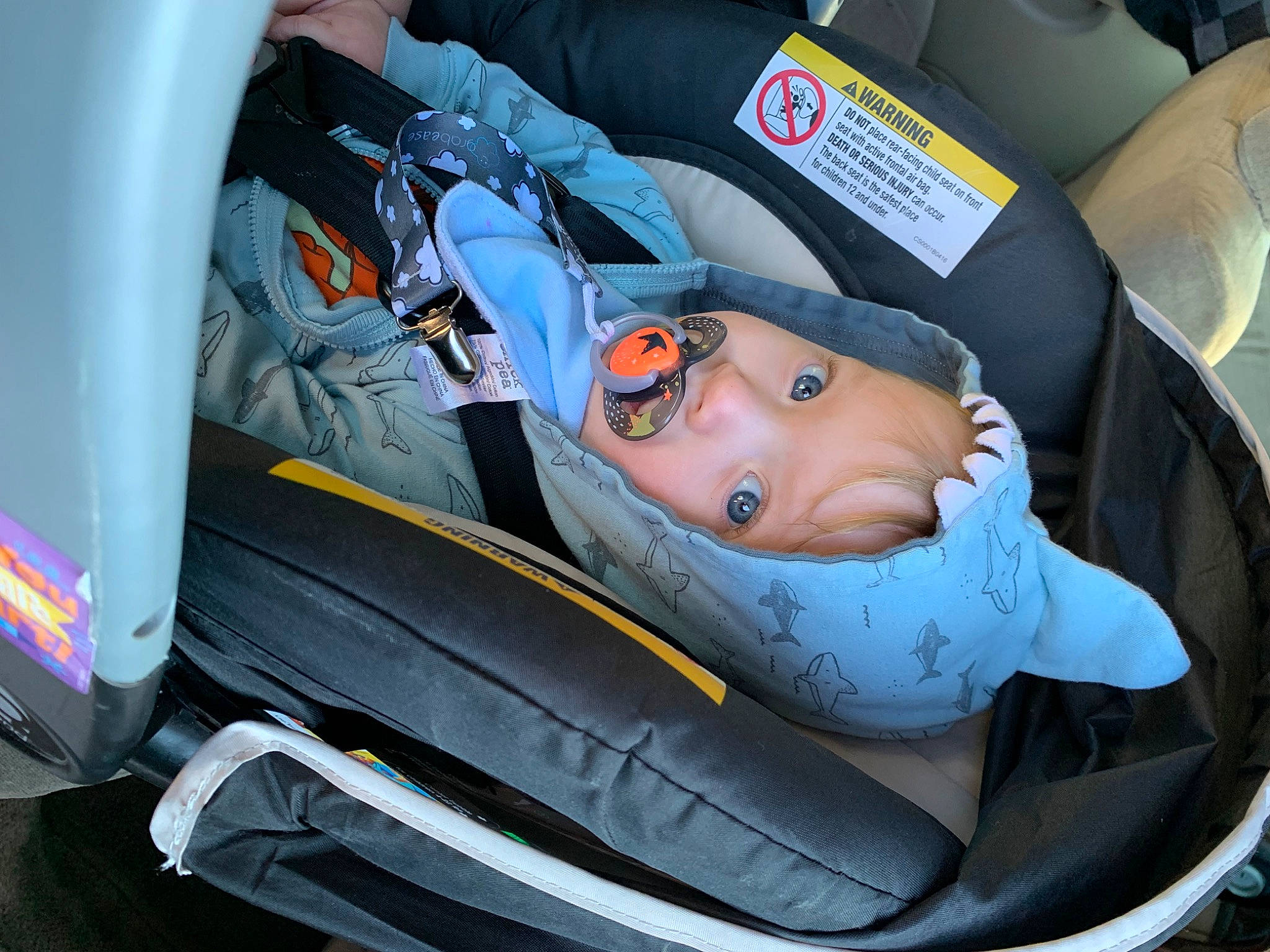 Leonardo is registered to the contest to win money with this photo: automotive_design, automotive_exterior, automotive_lighting, automotive_tire, automotive_wheel_system, bumper, car, car_seat, car_seat_cover, fender, head_restraint, headwear, hood, mode_of_transport, motor_vehicle, person, personal_luxury_car, plant, vehicle, vehicle_door