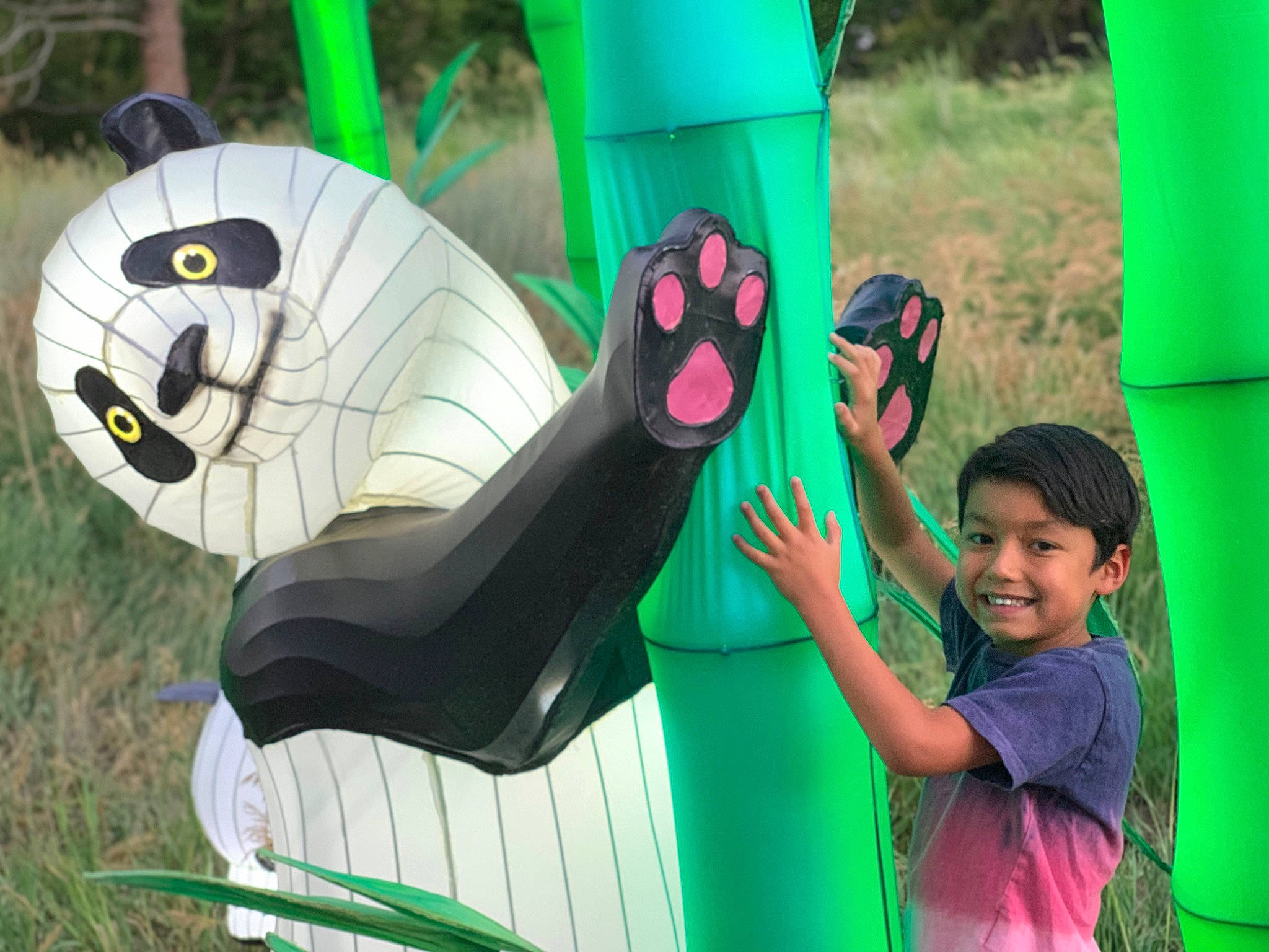 Giovanni joined the competition — help win amazing prizes! art, chute, fictional_character, fun, games, grass, green, happy, joy, leisure, magenta, natural_environment, organism, outdoor_play_equipment, person, photograph, plant, playground_slide, recreation, smile