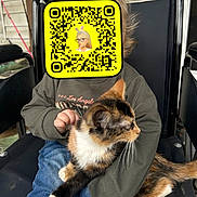 Opal is registered to the contest to win money with this photo: child, cat, calico_cat, holding, sitting, chair, clothing, jeans, sweater, hand, fur, whiskers, indoor, black_chair, wooden_background, casual, pet, cute, animal, young