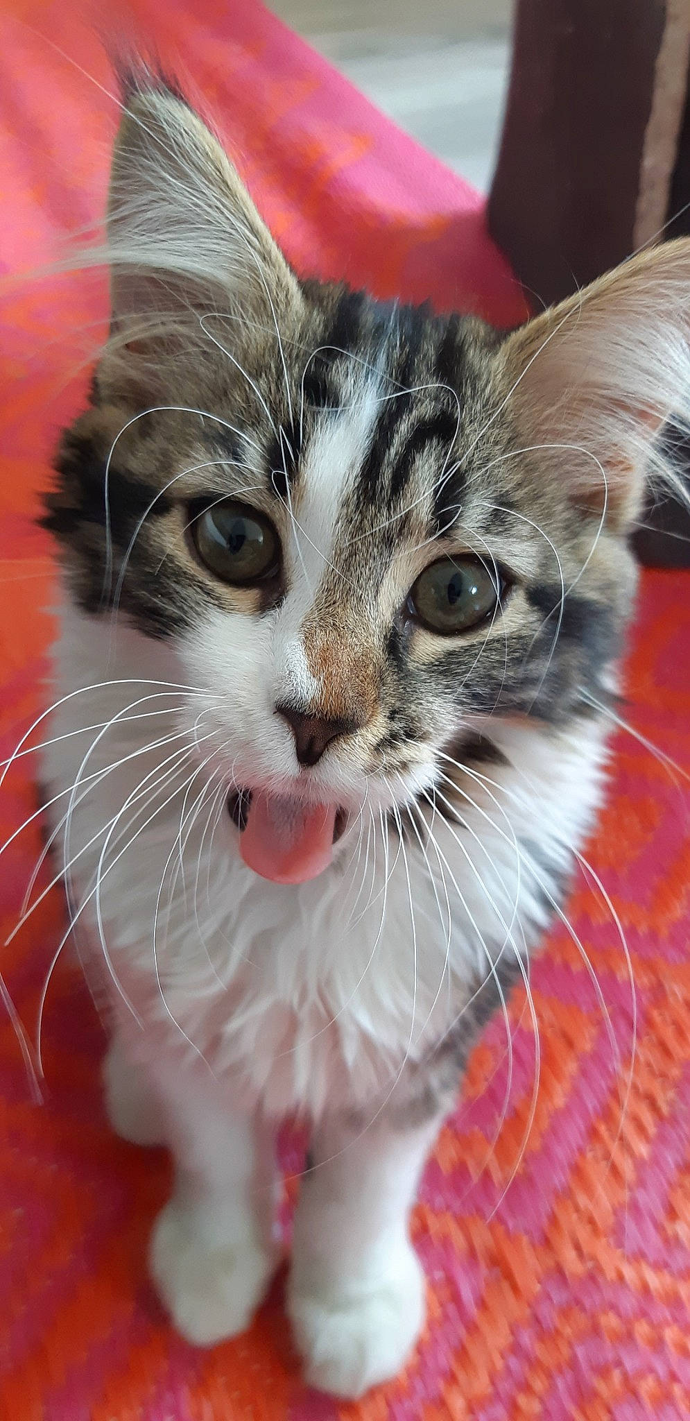 Lilou