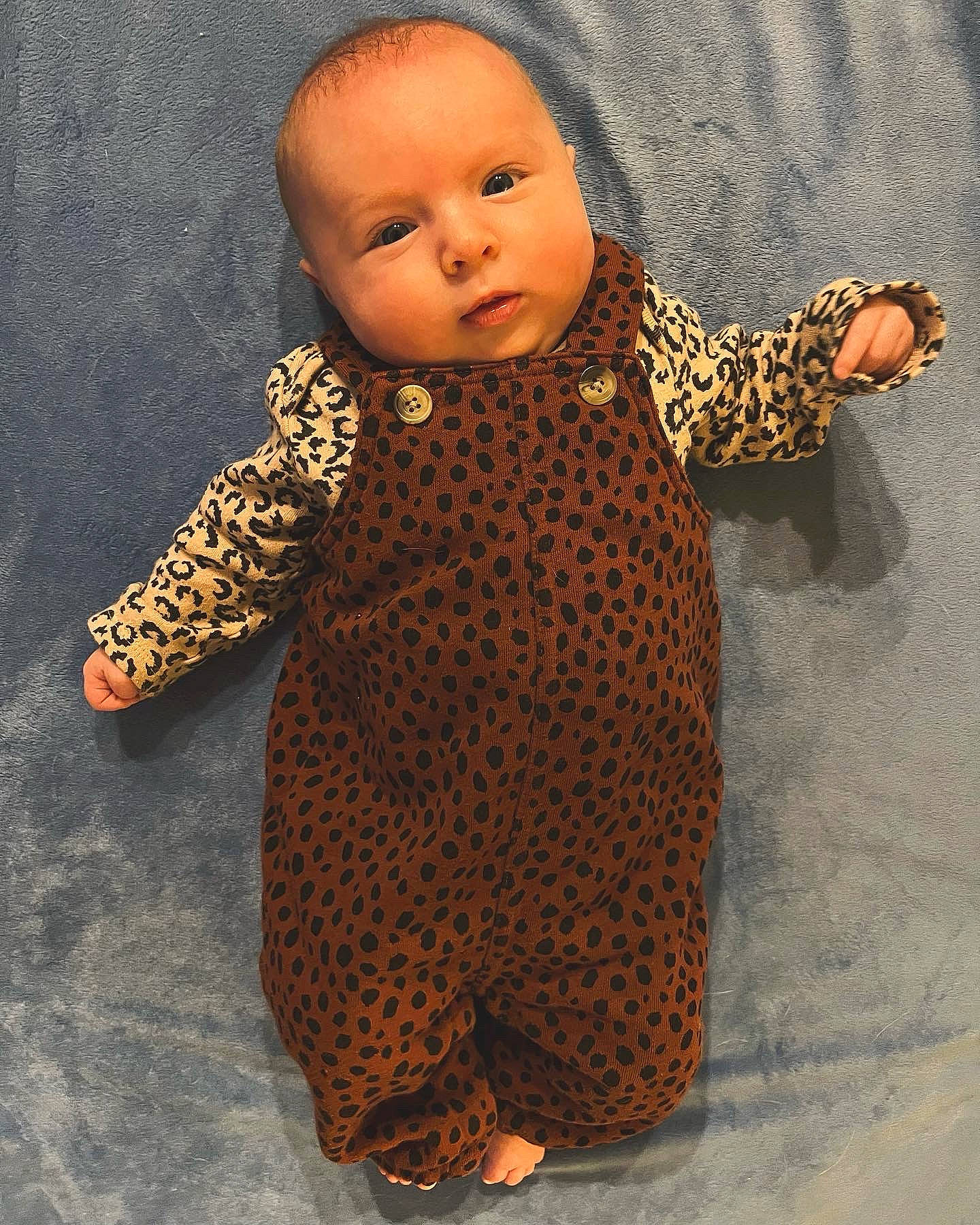 Raya joined the competition — help win amazing prizes! art, baby_toddler_clothing, baby_toys, brown, child, doll, fashion_design, fur, knitting, metal, pattern, peach, person, skin, sleeve, terrestrial_animal, thumb, toy, wool, woolen