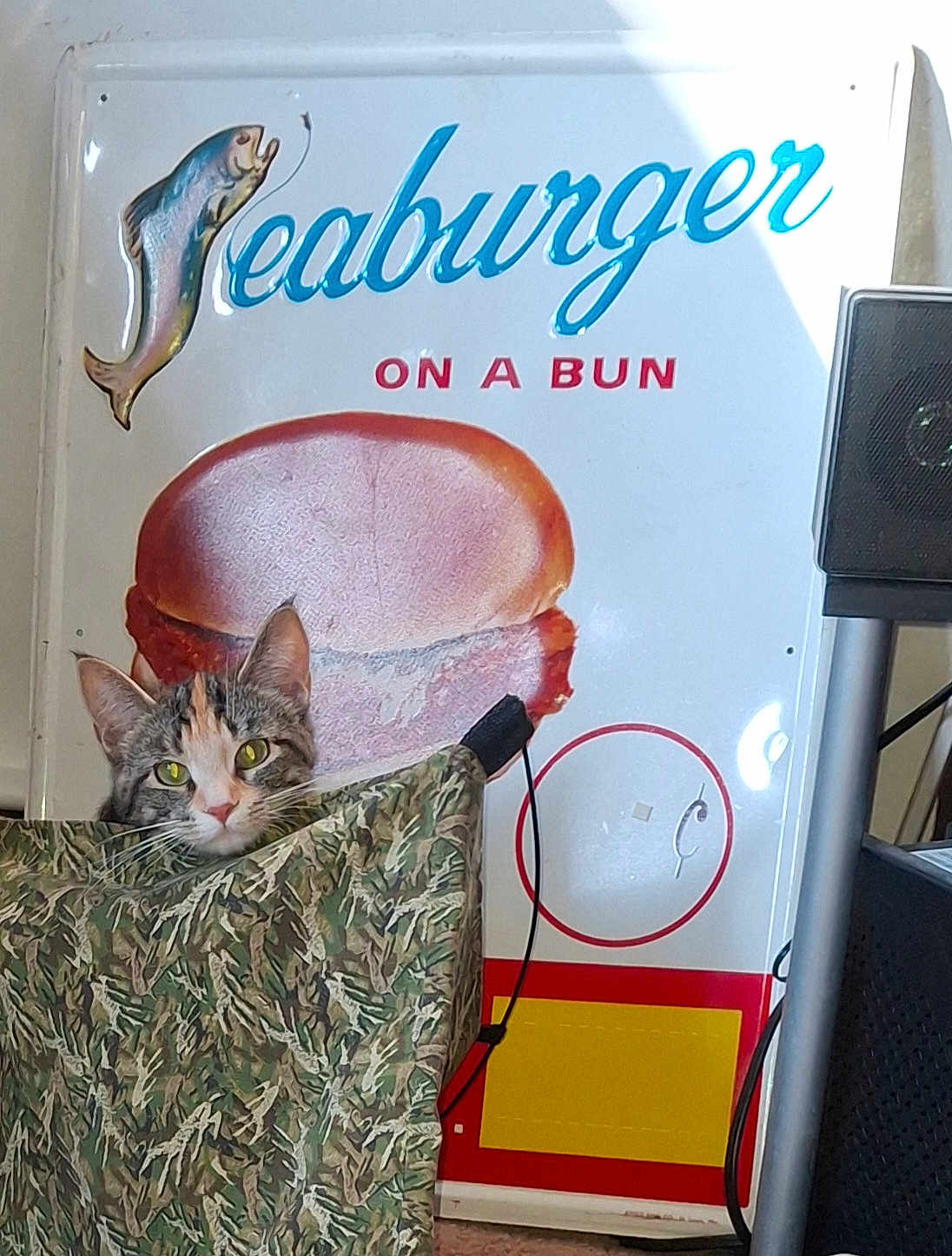 Squirrel joined the competition — help win amazing prizes! cat, camouflage, fabric, sign, vintage, fish, bun, advertisement, indoor, curious, peeking, green_eyes, animal, cute, pet, fur, ears, nostalgic, decor, quirky