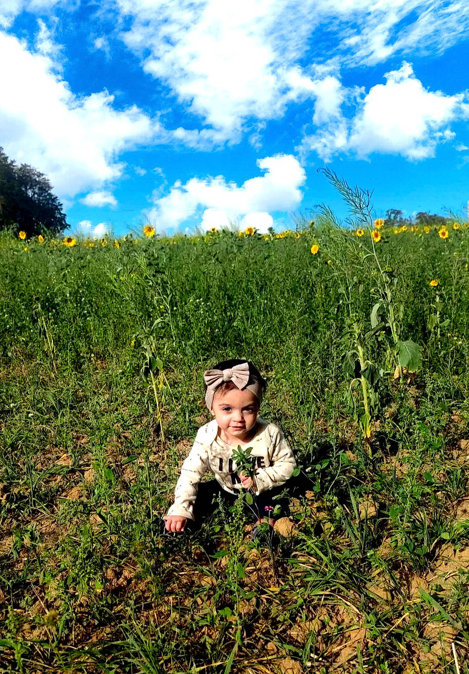 Harmony participe au concours pour gagner de l'argent avec cette photo : agriculture, cloud, crop, cumulus, field, flower, grass, grassland, happy, hat, headwear, landscape, meadow, natural_landscape, people_in_nature, person, plant, plantation, prairie, shrub