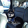 dog, husky, car_interior, backseat, leash, harness, heterochromia, sunlight, window, seat, pet, animal, furry, black_fur, tan_fur, tail, ears, relaxed, domestic_animal, transportation