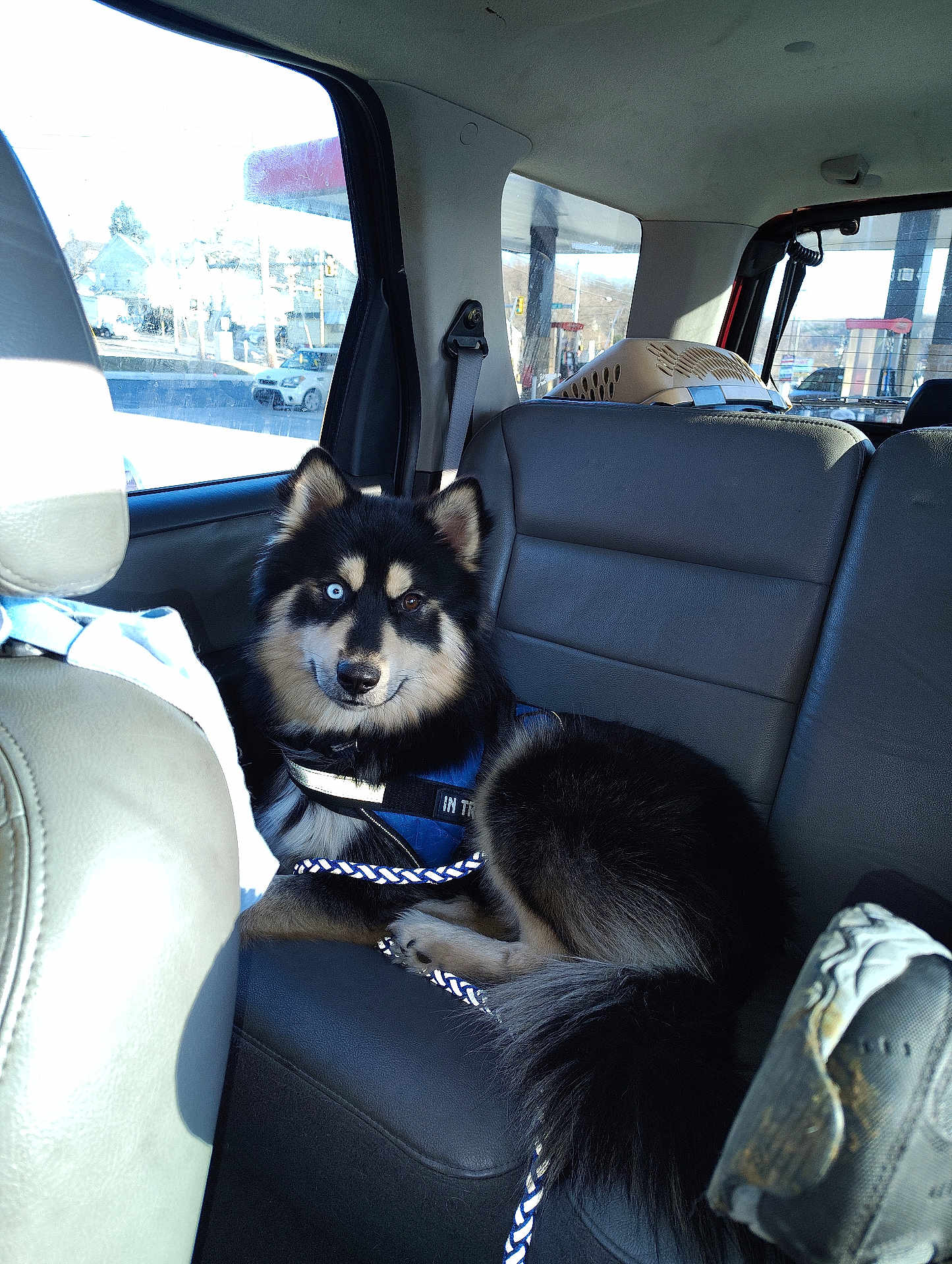 Odin Lee
