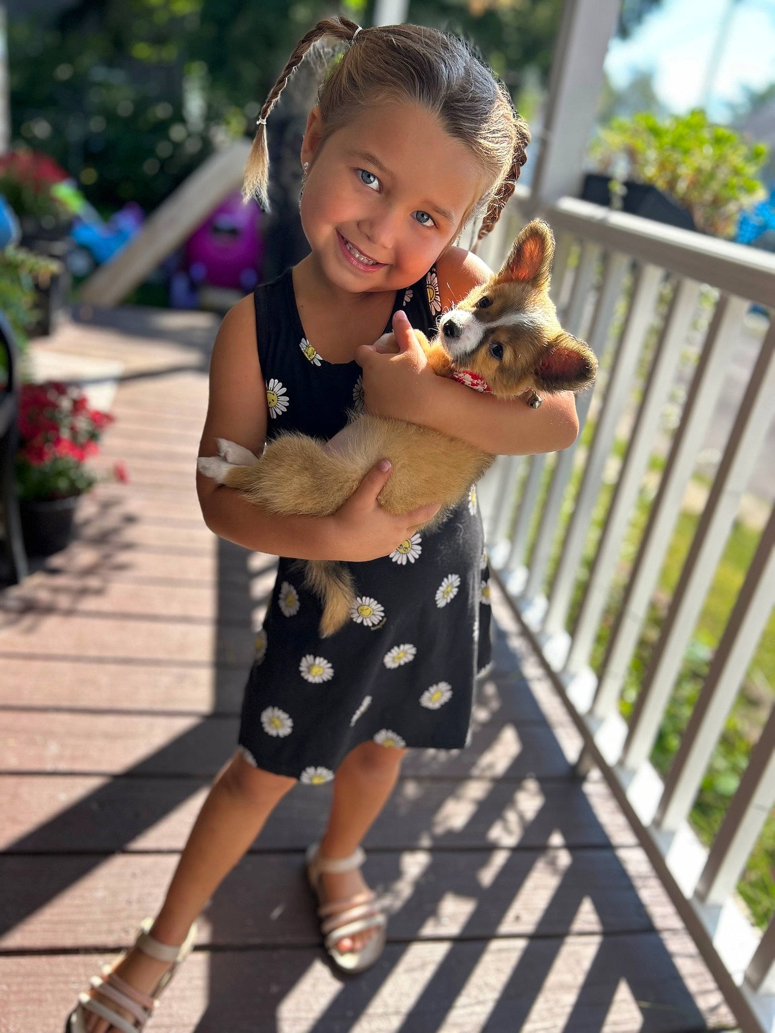 Alyvia joined the competition — help win amazing prizes! child, companion_dog, event, face, fawn, grass, happy, human_leg, joy, leisure, person, plant, recreation, sandal, smile, summer, t_shirt, thigh, toddler, toy