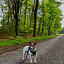 Sakura participe au concours pour gagner de l'argent avec cette photo : dog, leash, forest, trees, gravel_path, greenery, nature, outdoor, canine, walking, daylight, spring, small_dog, pet, pathway, woods, scenery, leafy, alert, harness