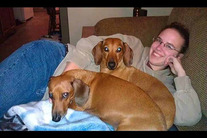 Rascal joined the competition — help win amazing prizes! canidae, carnivore, chair, comfort, companion_dog, couch, dog, dog_breed, dog_supply, fawn, hardwood, hound, liver, mammal, pet_supply, scent_hound, smile, snout, sporting_group, working_animal