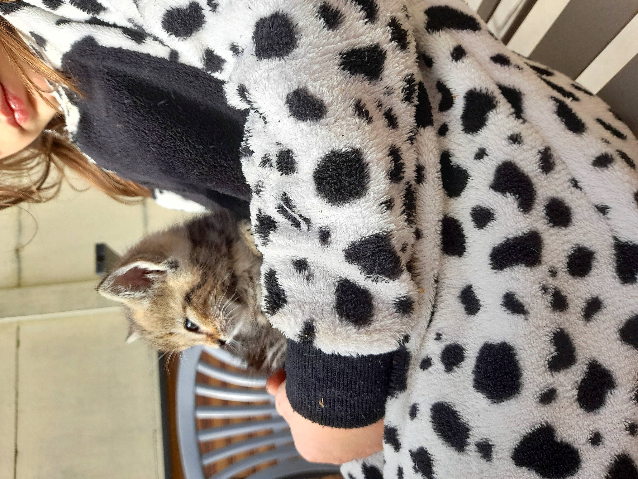 Kitty a rejoint le concours — aidez-le/la à gagner de superbes lots ! carnivore, cat, comfort, dress, fashion_accessory, fawn, felidae, fur, hair, hand, headgear, human_body, jacket, pattern, sleeve, snout, tail, whiskers, white, wrist