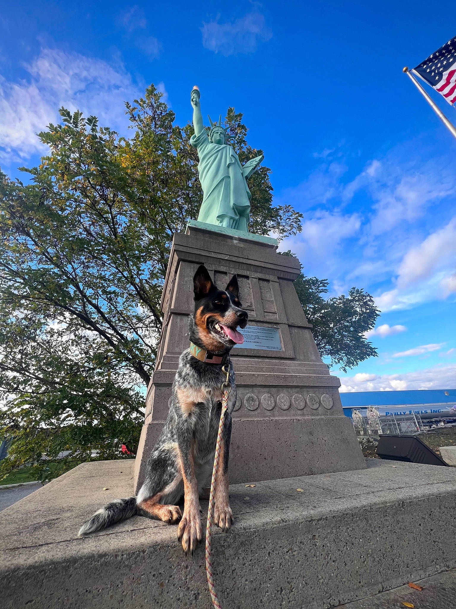 Sky is registered to the contest to win money with this photo: art, bronze_sculpture, canidae, carnivore, cloud, cumulus, dog, dog_breed, fawn, flag, landscape, leisure, monument, plant, pole, sculpture, sky, statue, tree, trunk