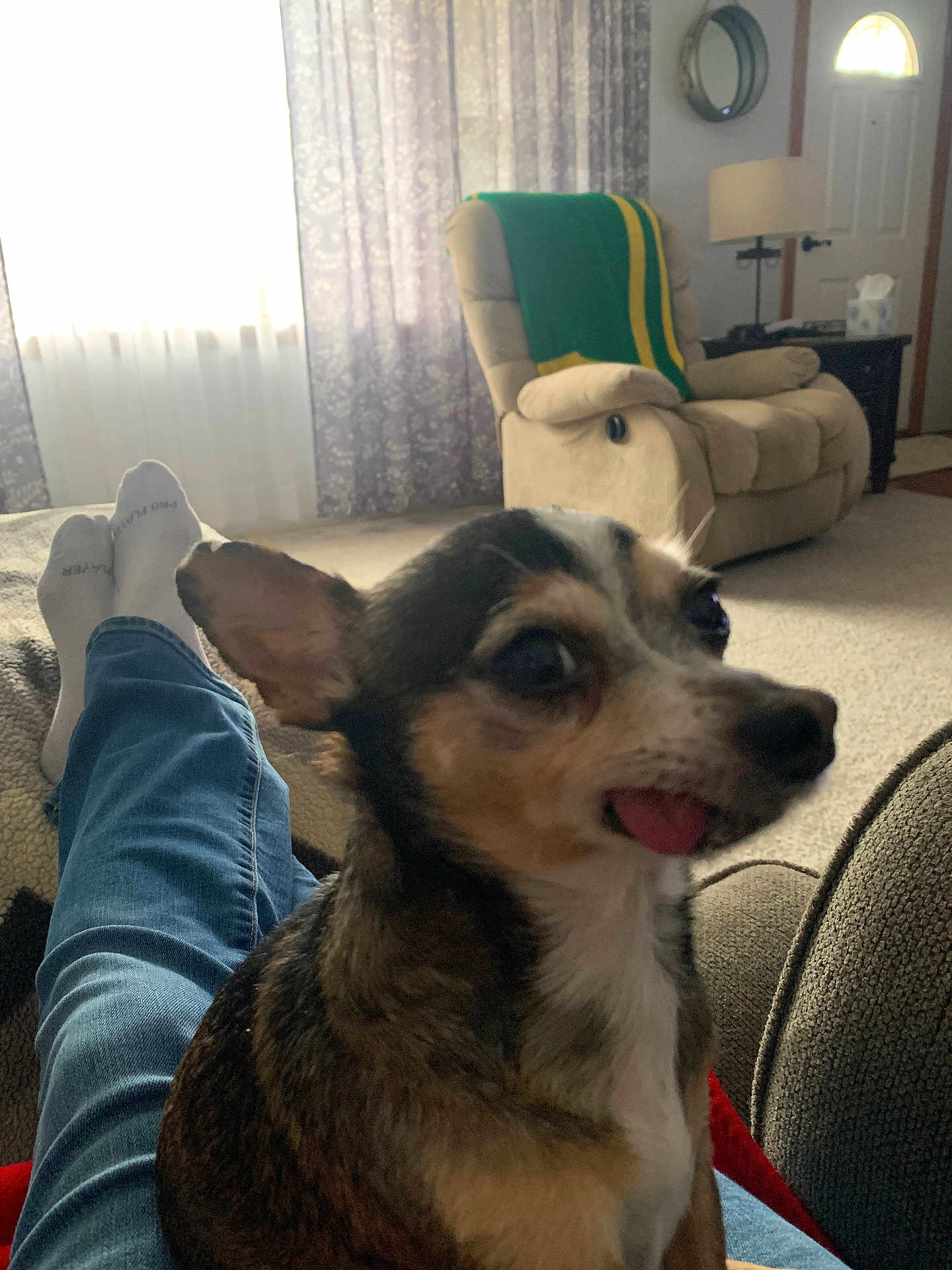 Bill