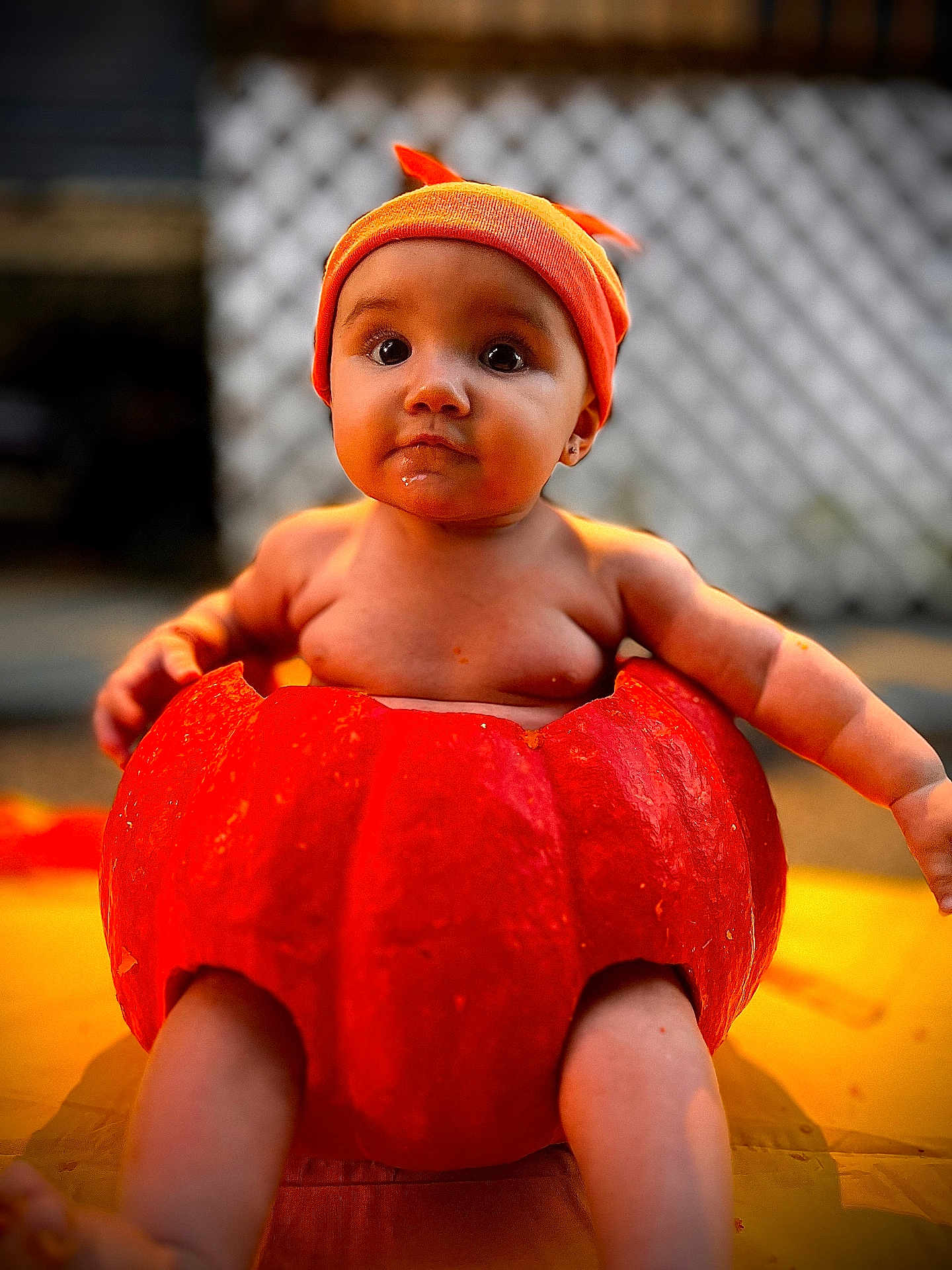 Ivengaline is registered to the contest to win money with this photo: baby, pumpkin, orange, cute, hat, drool, child, fall, autumn, costume, outdoor, portrait, seasonal, cute_expression, sitting, skin, headwear, holiday, festive, background_blur