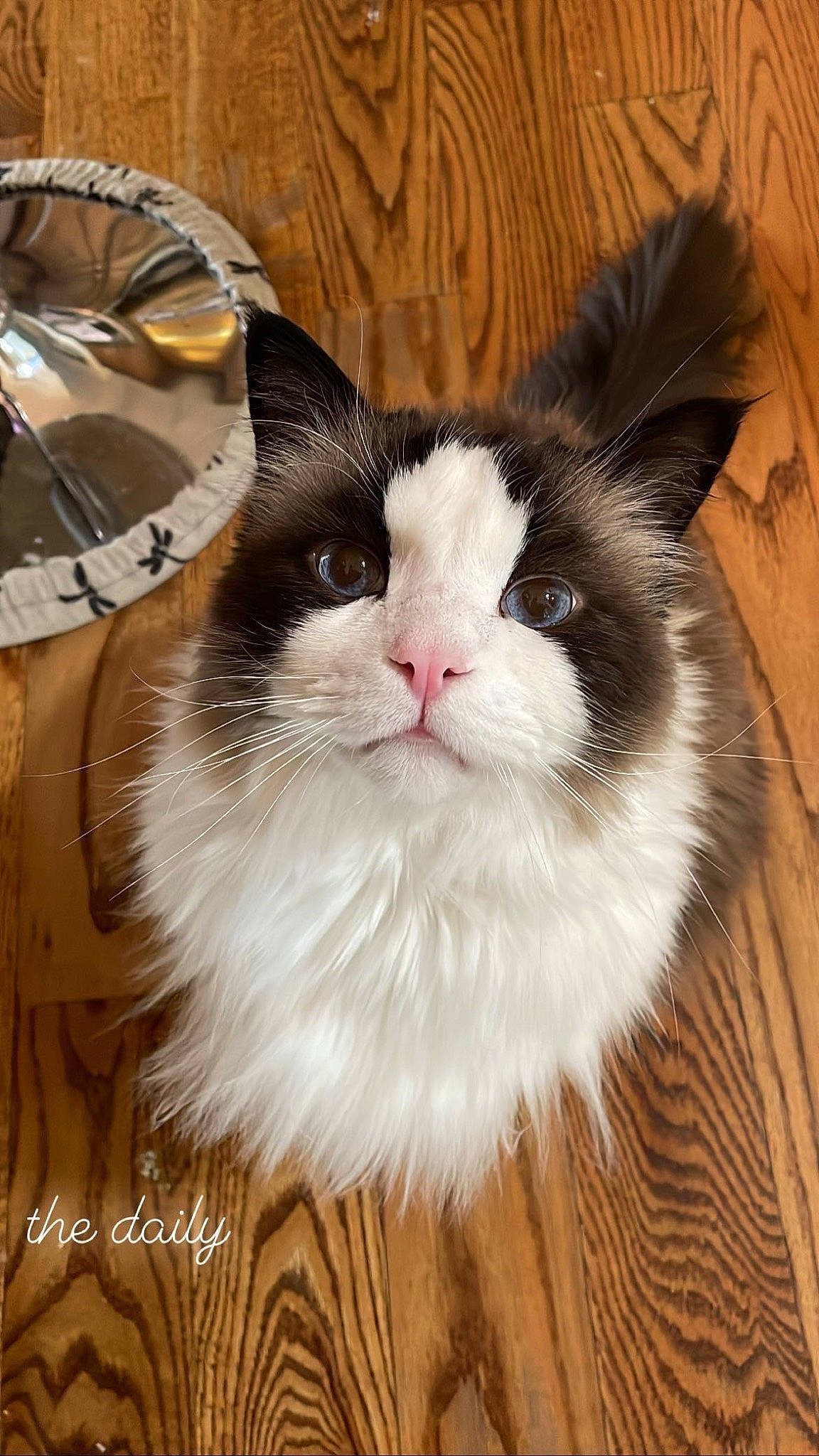 Oliver Jo