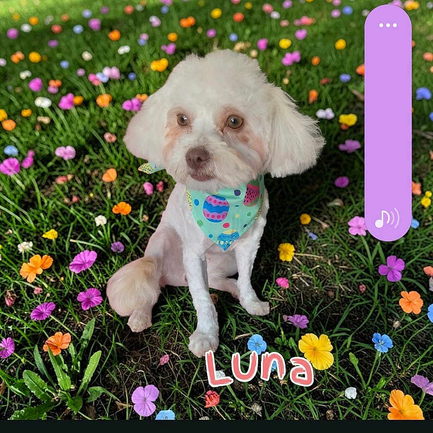 Luna