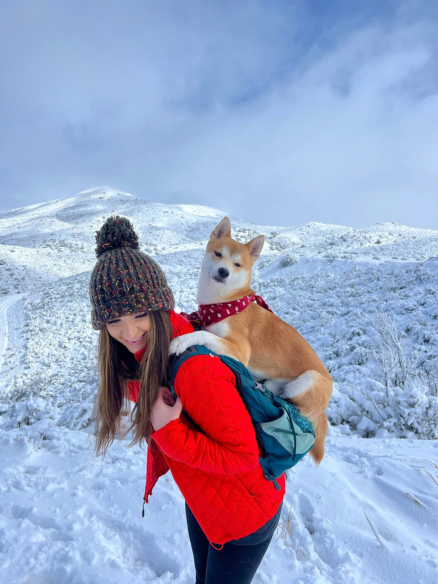 Kaito joined the competition — help win amazing prizes! adventure, carnivore, cloud, dog, dog_breed, freezing, fun, glacial_landform, ice_cap, leisure, mountain, people_in_nature, playing_in_the_snow, polar_ice_cap, recreation, sky, slope, snow, travel, winter