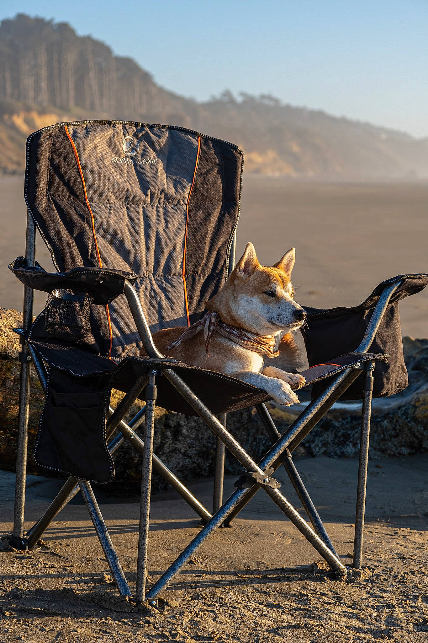 Kaito joined the competition — help win amazing prizes! aeolian_landform, art, carnivore, chair, comfort, fashion_accessory, folding_chair, hat, landscape, mammal, metal, morning, mountain, outdoor_furniture, sand, shadow, sitting, sky, tints_and_shades, wood