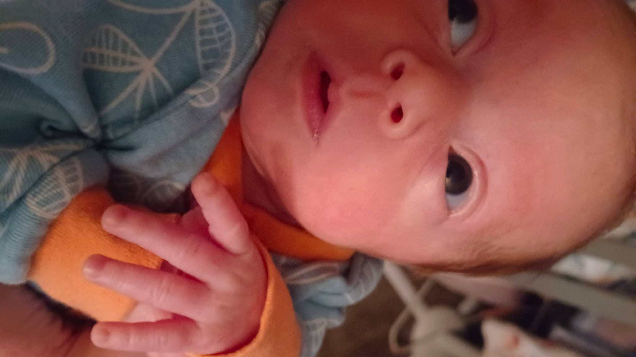 Myla joined the competition — help win amazing prizes! baby, cheek, ear, eye, eyebrow, eyelash, facial_expression, finger, forehead, gesture, happy, iris, lip, mammal, mouth, neck, nose, person, skin, thumb