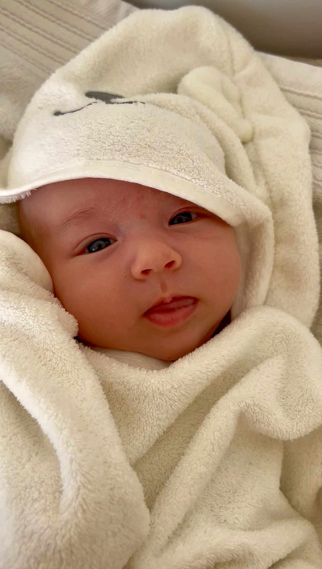 Luca a rejoint le concours — aidez-le/la à gagner de superbes lots ! baby, infant, face, hood, blanket, towel, wrapped, cute, skin, eyes, tongue, closeup, soft, texture, warm, bed, resting, newborn, cozy, indoors