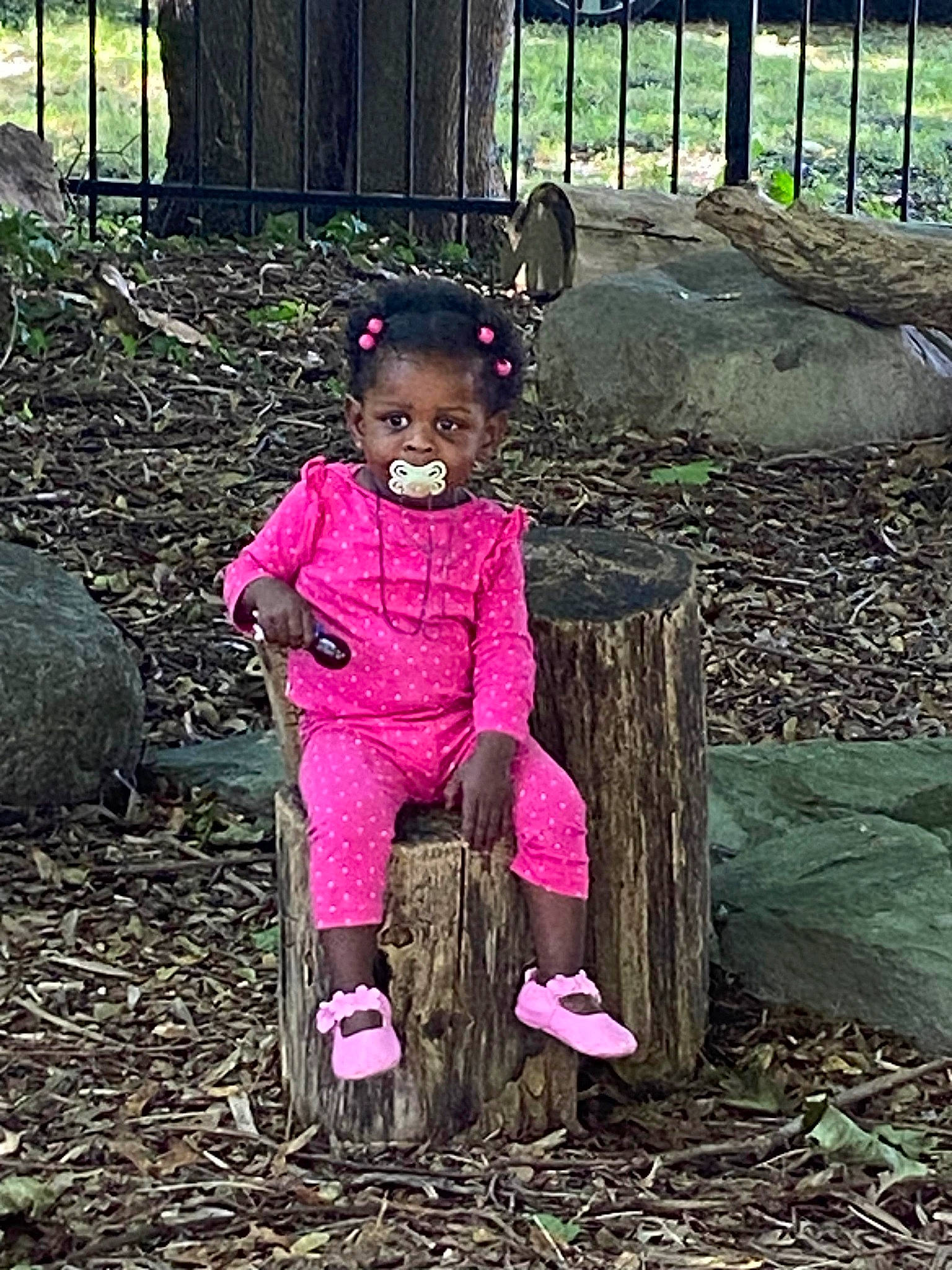 Danity is registered to the contest to win money with this photo: baby_toddler_clothing, child, eye, fawn, fun, garden, grass, happy, magenta, people_in_nature, person, pink, plant, pumpkin, purple, soil, spring, toddler, tree, trunk