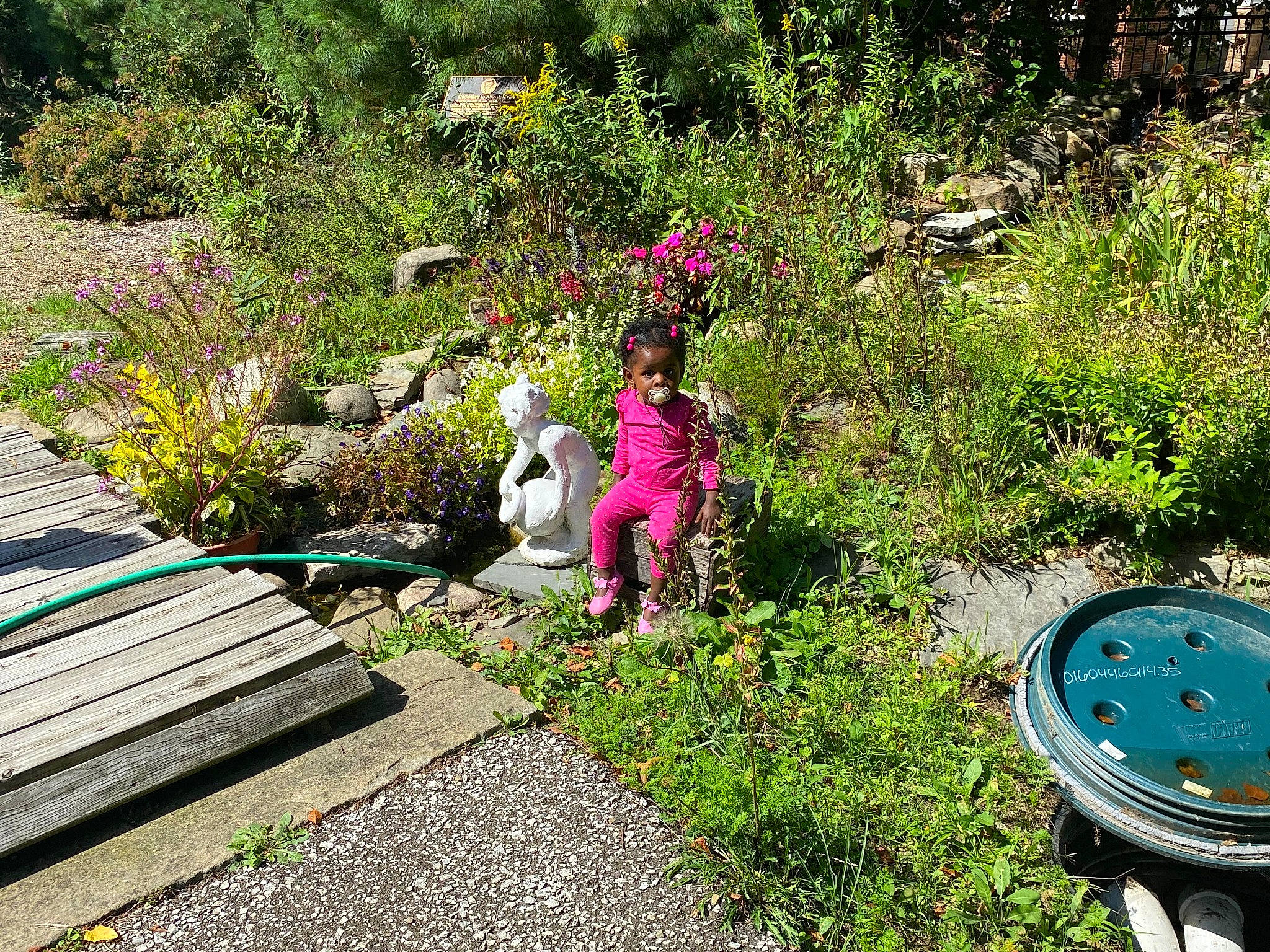 Danity joined the competition — help win amazing prizes! annual_plant, botany, flower, garden, grass, grass_family, groundcover, landscape, landscaping, lawn, lawn_ornament, leisure, natural_landscape, people_in_nature, person, plant, recreation, shrub, soil, toddler