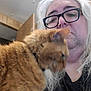 Yodie is registered to the contest to win money with this photo: animal, black_shirt, blurry, cat, close_up, door, face, focus, furniture, glasses, head, indoor, long_hair, orange_tabby, person, pet, portrait, selfie, white_hair, wood_paneling