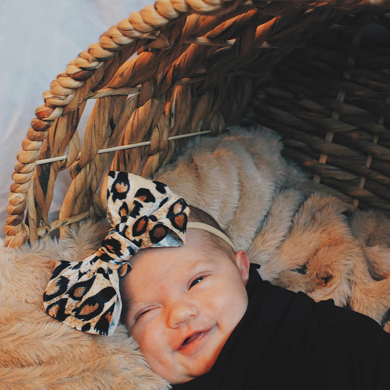 Sadie joined the competition — help win amazing prizes! animal, baby, basket, bed, canine, clothing, cradle, crib, dog, face, furniture, happy, hat, head, infantbed, newborn, person, pet, photography, portrait