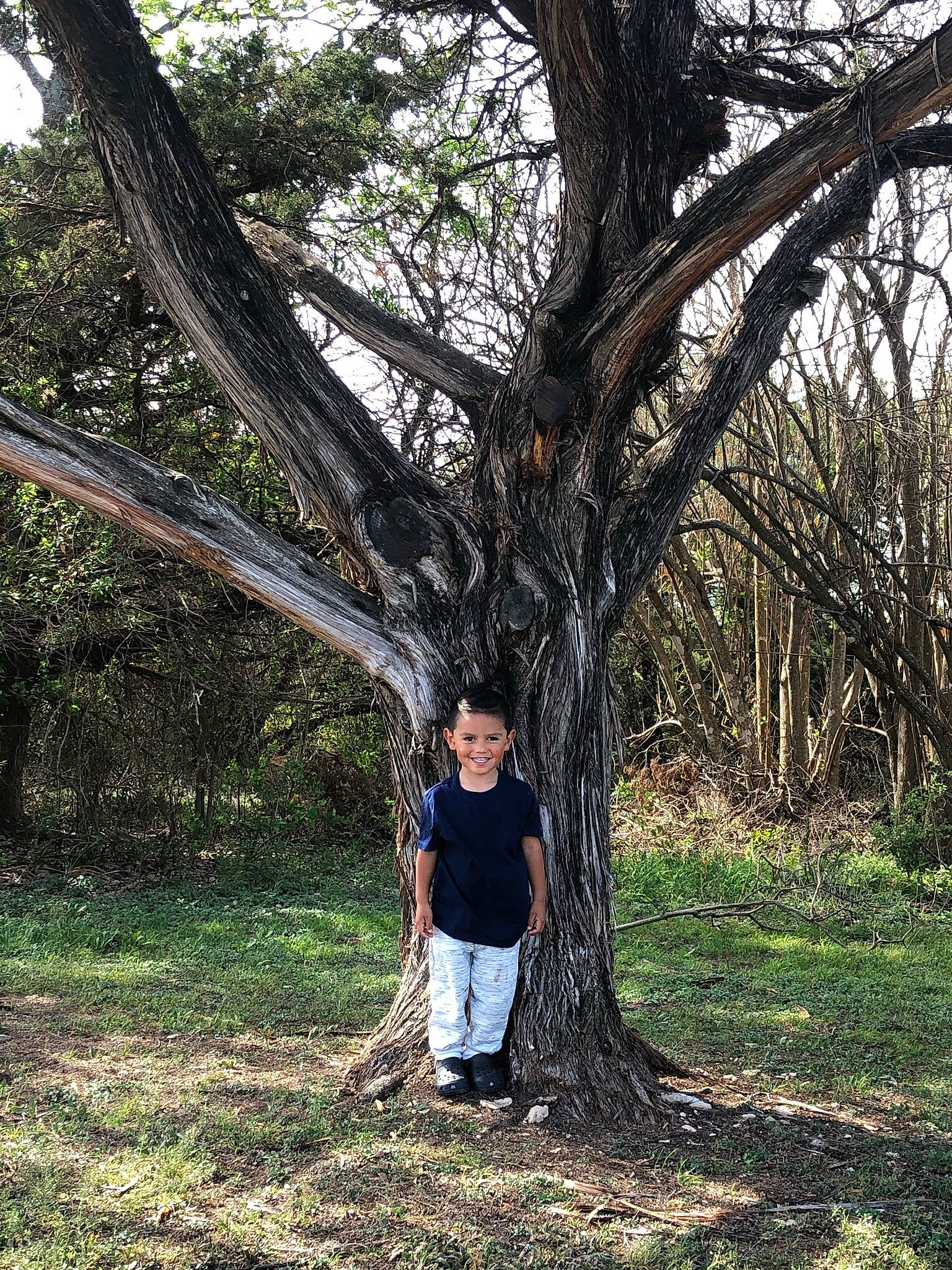 Javi Dominic is registered to the contest to win money with this photo: branch, deciduous, forest, grass, grove, human_body, joy, people_in_nature, person, plant, shorts, soil, terrestrial_plant, tints_and_shades, tree, trunk, twig, waist, wood, woodland