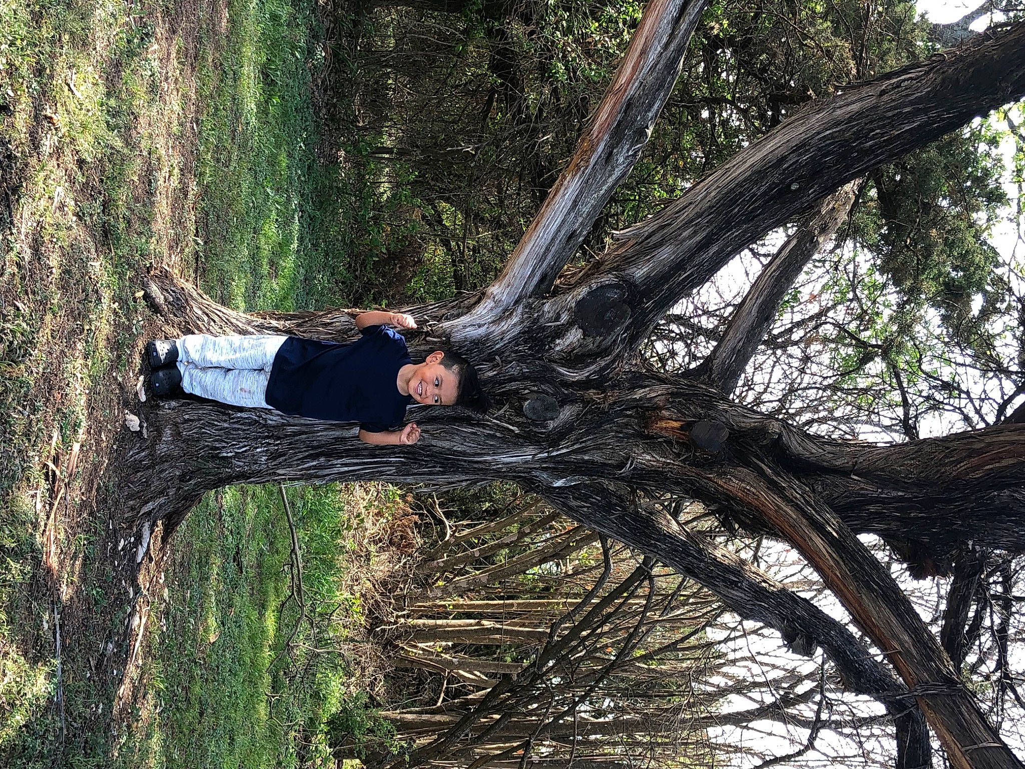 Javi Dominic is registered to the contest to win money with this photo: arecales, elbow, forest, grass, joy, jungle, leisure, northern_hardwood_forest, old_growth_forest, people_in_nature, person, plant, plant_stem, smile, temperate_broadleaf_and_mixed_forest, terrestrial_plant, tree, trunk, twig, valdivian_temperate_rain_forest