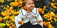Summer a rejoint le concours — aidez-le/la à gagner de superbes lots ! toddler, child, pumpkins, gourds, autumn, fall, outdoor, nature, cute, white_coat, curious, sitting, harvest, seasonal, colorful, vegetables, greenery, small_pumpkins, playful, festive