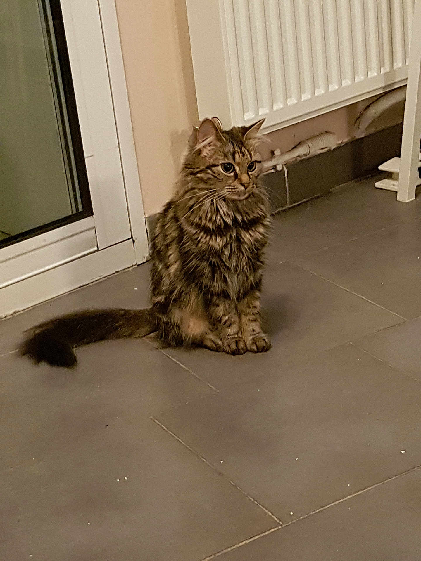 Nala
