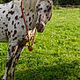 Waldom participe au concours pour gagner de l'argent avec cette photo :