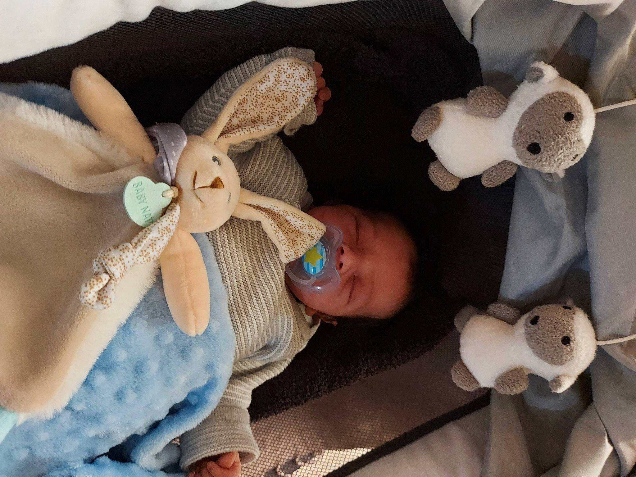 Mayron participe au concours pour gagner de l'argent avec cette photo : baby, baby_products, baby_toddler_clothing, baby_toys, child, comfort, embellishment, fashion_accessory, fawn, headgear, infant_bed, jewellery, mechanical_fan, natural_material, person, product, stuffed_toy, textile, toddler, toy