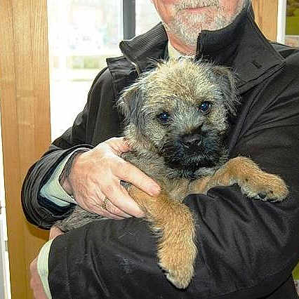 Anya joined the competition — help win amazing prizes!