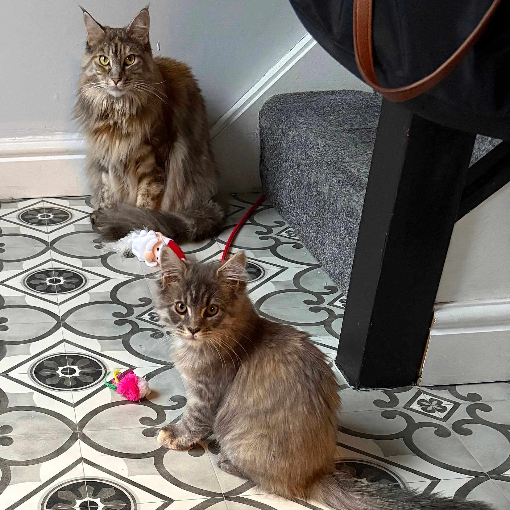 Rowan And Ruby