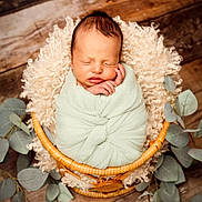 Louis a rejoint le concours — aidez-le/la à gagner de superbes lots ! newborn, baby, swaddled, basket, blanket, sleeping, infant, wooden_floor, greenery, leaves, fluffy, soft, peaceful, cute, portrait, cozy, nature, resting, wrapped, indoors
