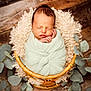 newborn, baby, swaddled, basket, blanket, sleeping, infant, wooden_floor, greenery, leaves, fluffy, soft, peaceful, cute, portrait, cozy, nature, resting, wrapped, indoors