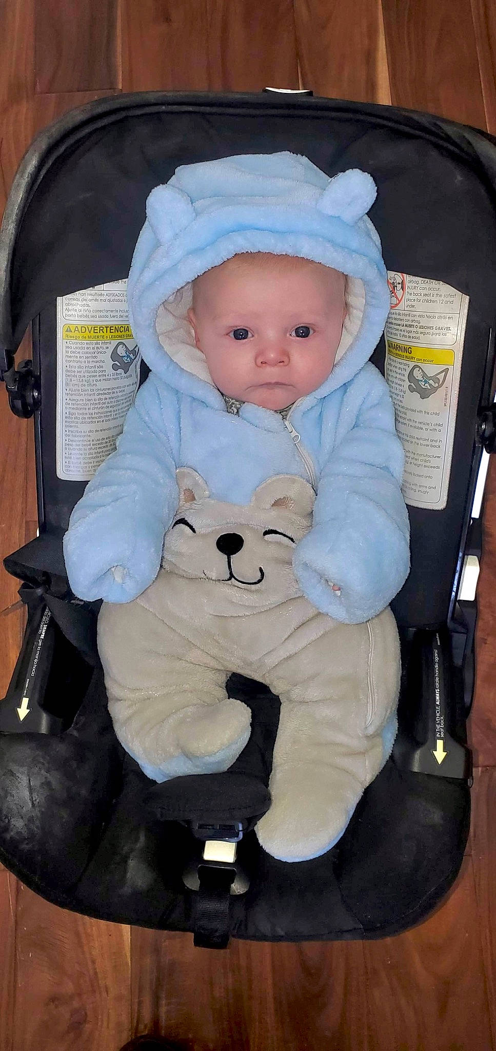 Maximus is registered to the contest to win money with this photo: baby, baby_carriage, baby_in_car_seat, baby_products, baby_safety, baby_sleeping, baby_toddler_clothing, baby_toys, bag, car_seat, cheek, child, comfort, eye, infant_bed, lap, person, sitting, toddler, toy